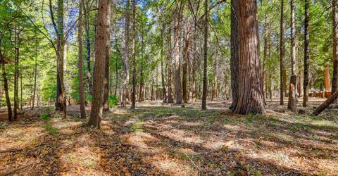 13184 Quaker Hill Cross Rd, Nevada City, CA 95959 Photo