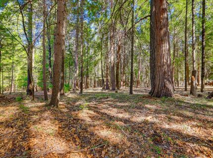 13184 Quaker Hill Cross Rd, Nevada City, CA 95959 Photo