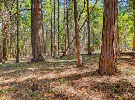 13184 Quaker Hill Cross Rd, Nevada City, CA 95959 Photo