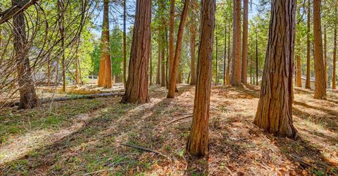 13184 Quaker Hill Cross Rd, Nevada City, CA 95959 Photo