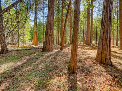 13184 Quaker Hill Cross Rd, Nevada City, CA 95959 Photo