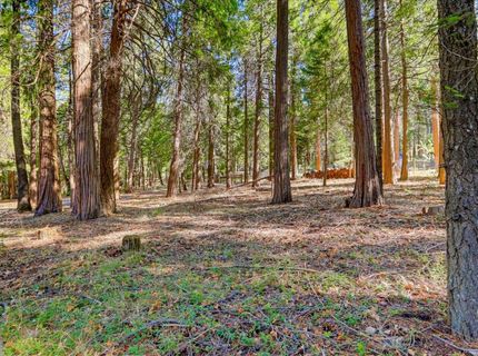 13184 Quaker Hill Cross Rd, Nevada City, CA 95959 Photo