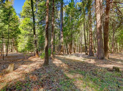 13184 Quaker Hill Cross Rd, Nevada City, CA 95959 Photo