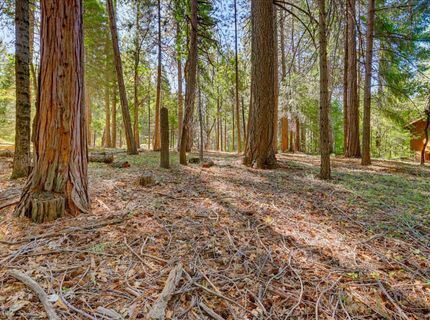 13184 Quaker Hill Cross Rd, Nevada City, CA 95959 Photo