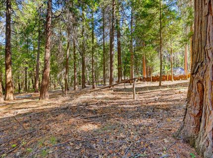 13184 Quaker Hill Cross Rd, Nevada City, CA 95959 Photo