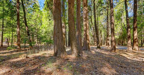 13184 Quaker Hill Cross Rd, Nevada City, CA 95959 Photo