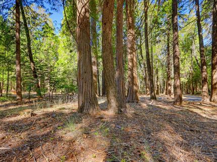 13184 Quaker Hill Cross Rd, Nevada City, CA 95959 Photo