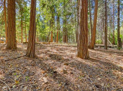 13184 Quaker Hill Cross Rd, Nevada City, CA 95959 Photo
