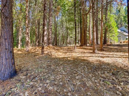 13184 Quaker Hill Cross Rd, Nevada City, CA 95959 Photo