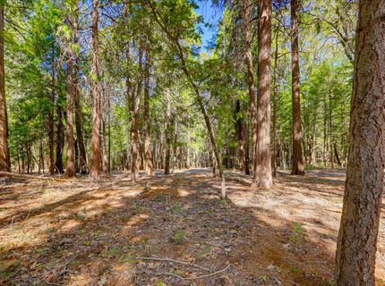 13184 Quaker Hill Cross Rd, Nevada City, CA 95959 Photo