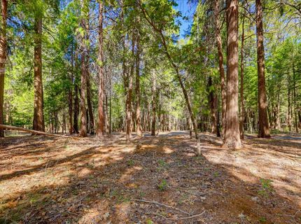 13184 Quaker Hill Cross Rd, Nevada City, CA 95959 Photo
