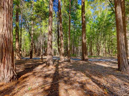 13184 Quaker Hill Cross Rd, Nevada City, CA 95959 Photo