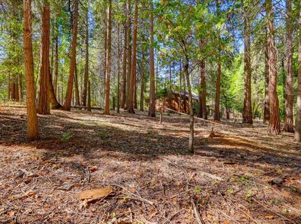13184 Quaker Hill Cross Rd, Nevada City, CA 95959 Photo
