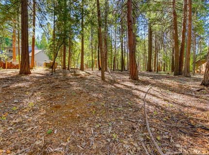 13184 Quaker Hill Cross Rd, Nevada City, CA 95959 Photo