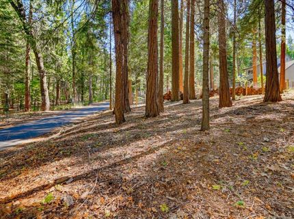 13184 Quaker Hill Cross Rd, Nevada City, CA 95959 Photo