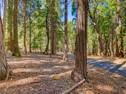 13184 Quaker Hill Cross Rd, Nevada City, CA 95959 Photo