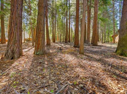 13184 Quaker Hill Cross Rd, Nevada City, CA 95959 Photo