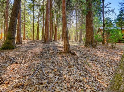 13184 Quaker Hill Cross Rd, Nevada City, CA 95959 Photo
