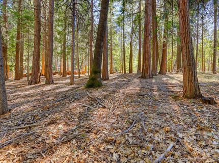 13184 Quaker Hill Cross Rd, Nevada City, CA 95959 Photo