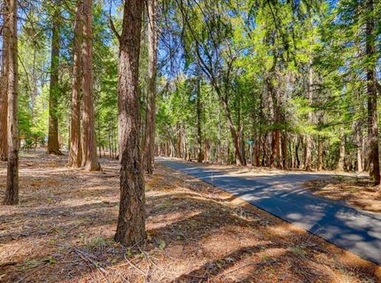 13184 Quaker Hill Cross Rd, Nevada City, CA 95959 Photo