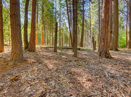 13184 Quaker Hill Cross Rd, Nevada City, CA 95959 Photo