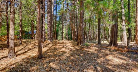 13184 Quaker Hill Cross Rd, Nevada City, CA 95959 Photo