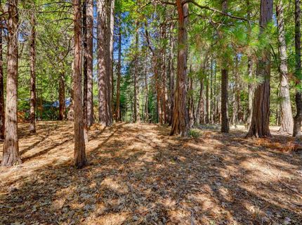 13184 Quaker Hill Cross Rd, Nevada City, CA 95959 Photo