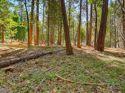 13184 Quaker Hill Cross Rd, Nevada City, CA 95959 Photo