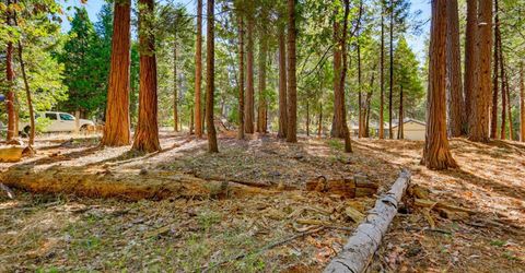13184 Quaker Hill Cross Rd, Nevada City, CA 95959 Photo
