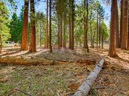 13184 Quaker Hill Cross Rd, Nevada City, CA 95959 Photo