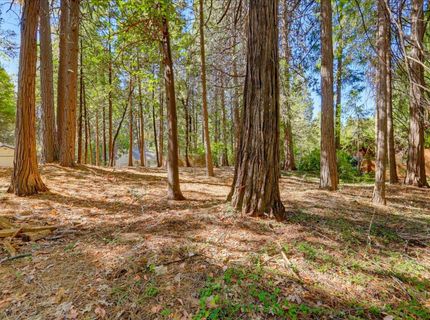 13184 Quaker Hill Cross Rd, Nevada City, CA 95959 Photo