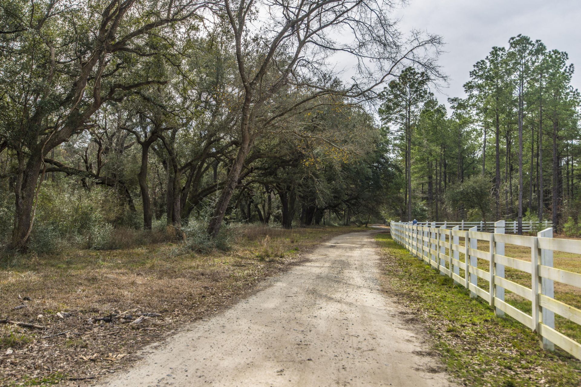 159 Village Ponds Drive Photo 48