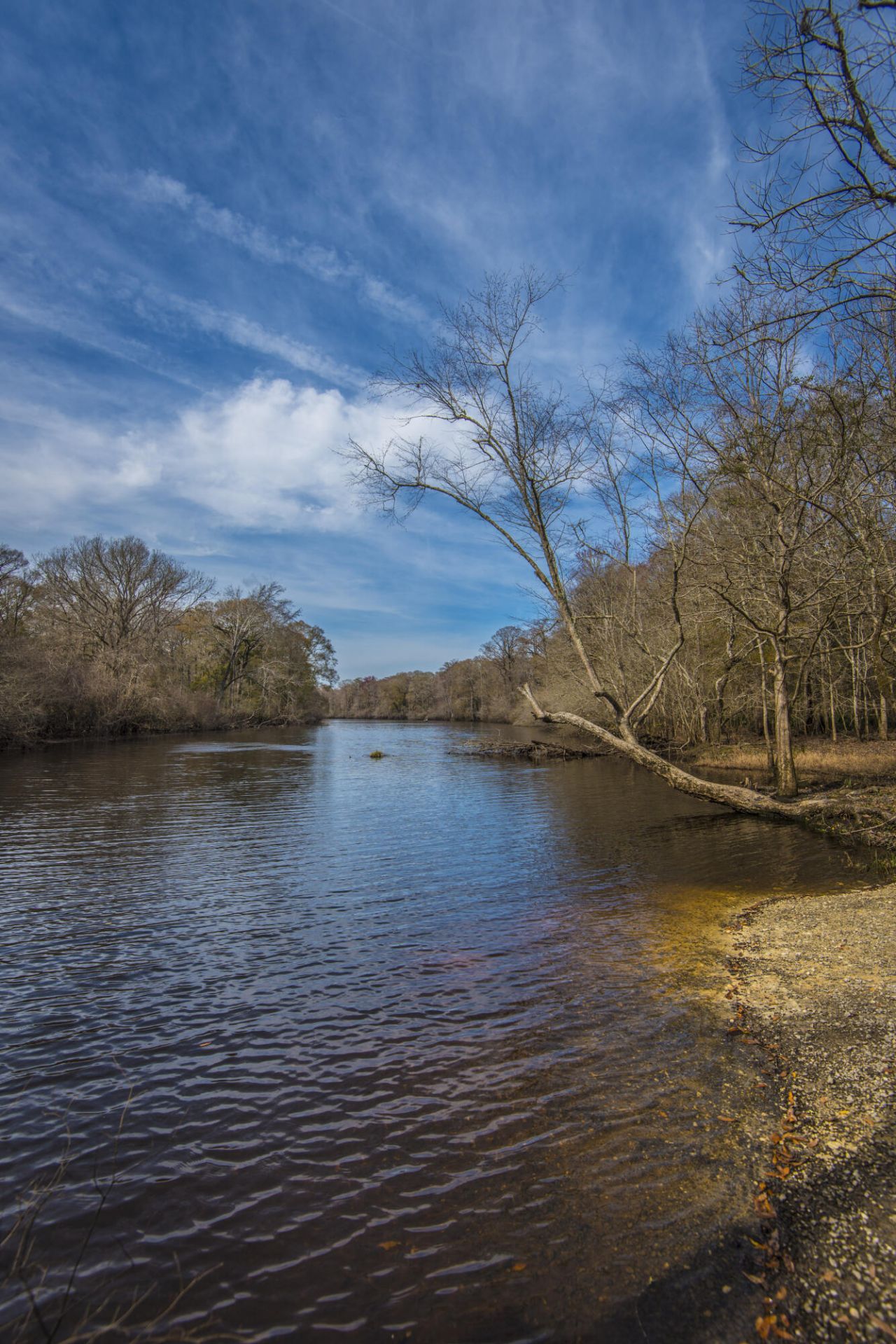 159 Village Ponds Drive Photo 49