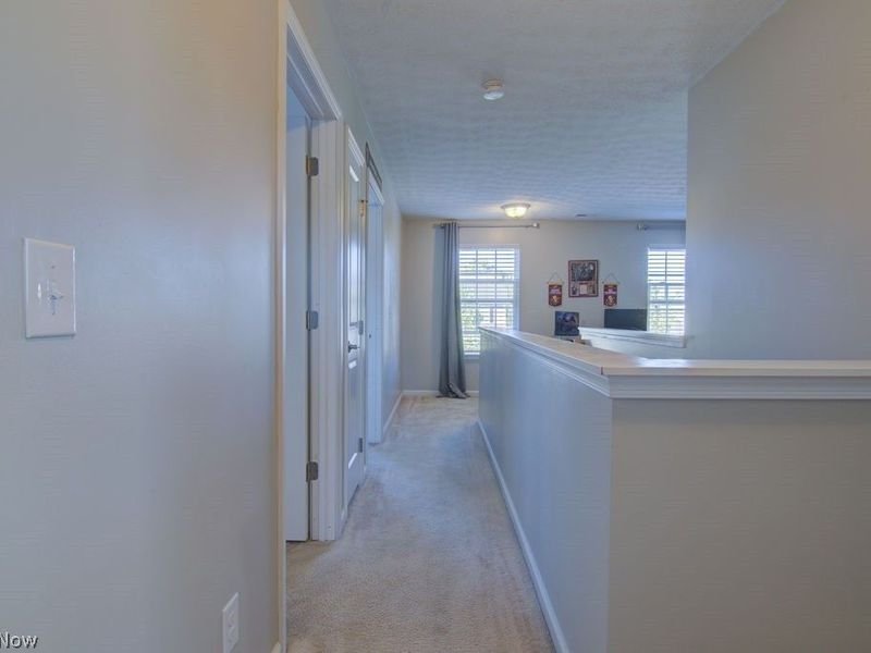10399 Fox Hollow Circle, Twinsburg, OH 44087 Photo 16