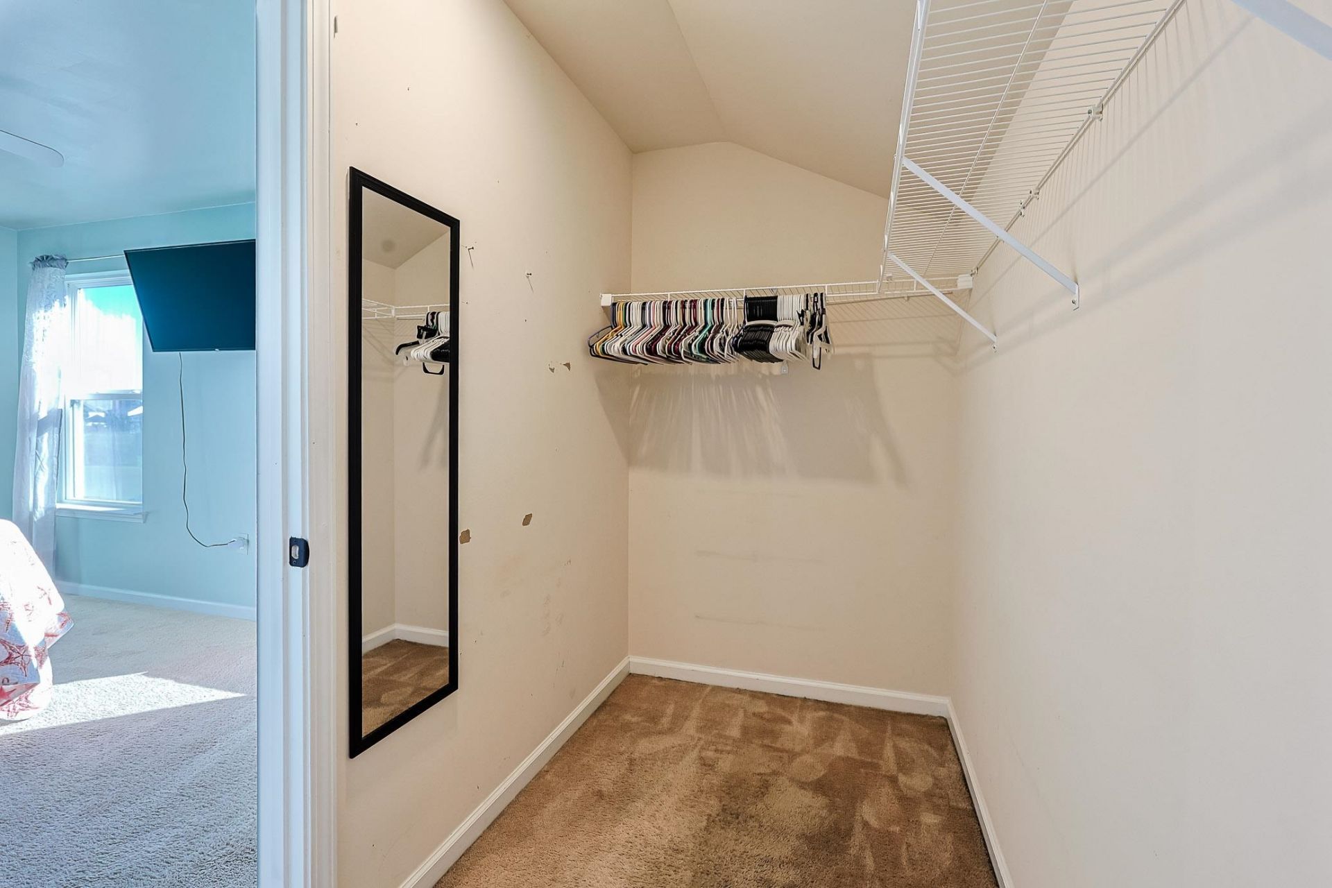 1076 Caprisia Loop Photo 20