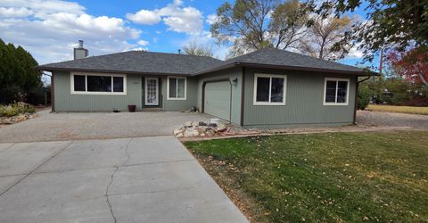 1366 Judy Street, Minden, NV 89423 Photo