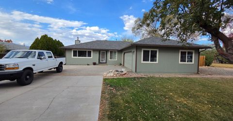 1366 Judy Street, Minden, NV 89423 Photo