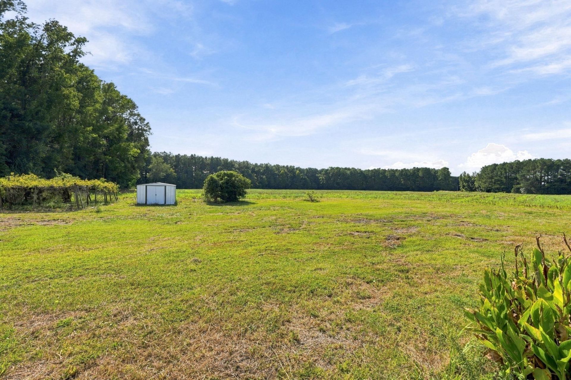 1705 Highway 792 Photo 28