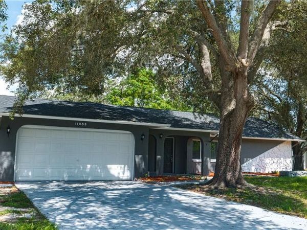 11053 MAYFLOWER ROAD , SPRING HILL, FL 34608