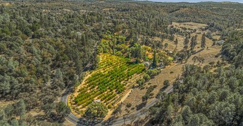 1560 State Highway 49, Placerville, CA 95667 Photo