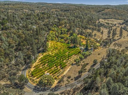 1560 State Highway 49, Placerville, CA 95667 Photo