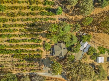 1560 State Highway 49, Placerville, CA 95667 Photo