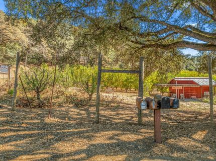 1560 State Highway 49, Placerville, CA 95667 Photo