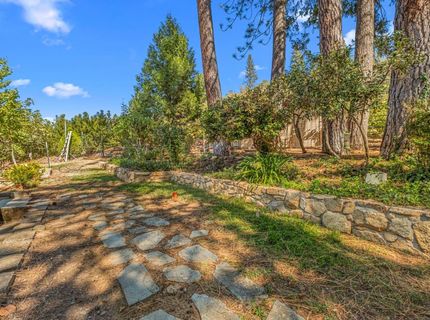 1560 State Highway 49, Placerville, CA 95667 Photo