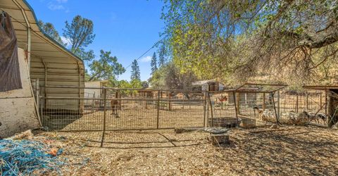 1560 State Highway 49, Placerville, CA 95667 Photo