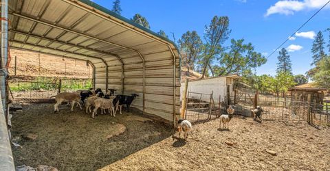 1560 State Highway 49, Placerville, CA 95667 Photo