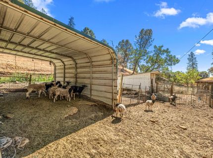 1560 State Highway 49, Placerville, CA 95667 Photo