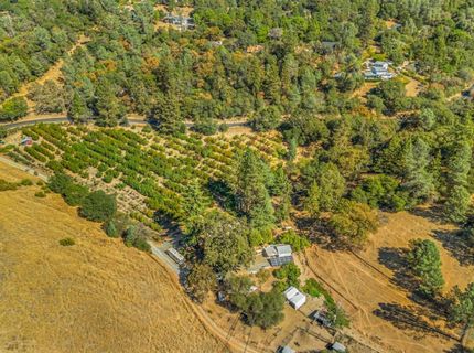 1560 State Highway 49, Placerville, CA 95667 Photo