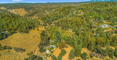 1560 State Highway 49, Placerville, CA 95667 Photo