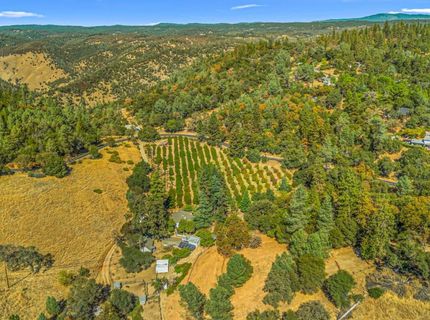 1560 State Highway 49, Placerville, CA 95667 Photo